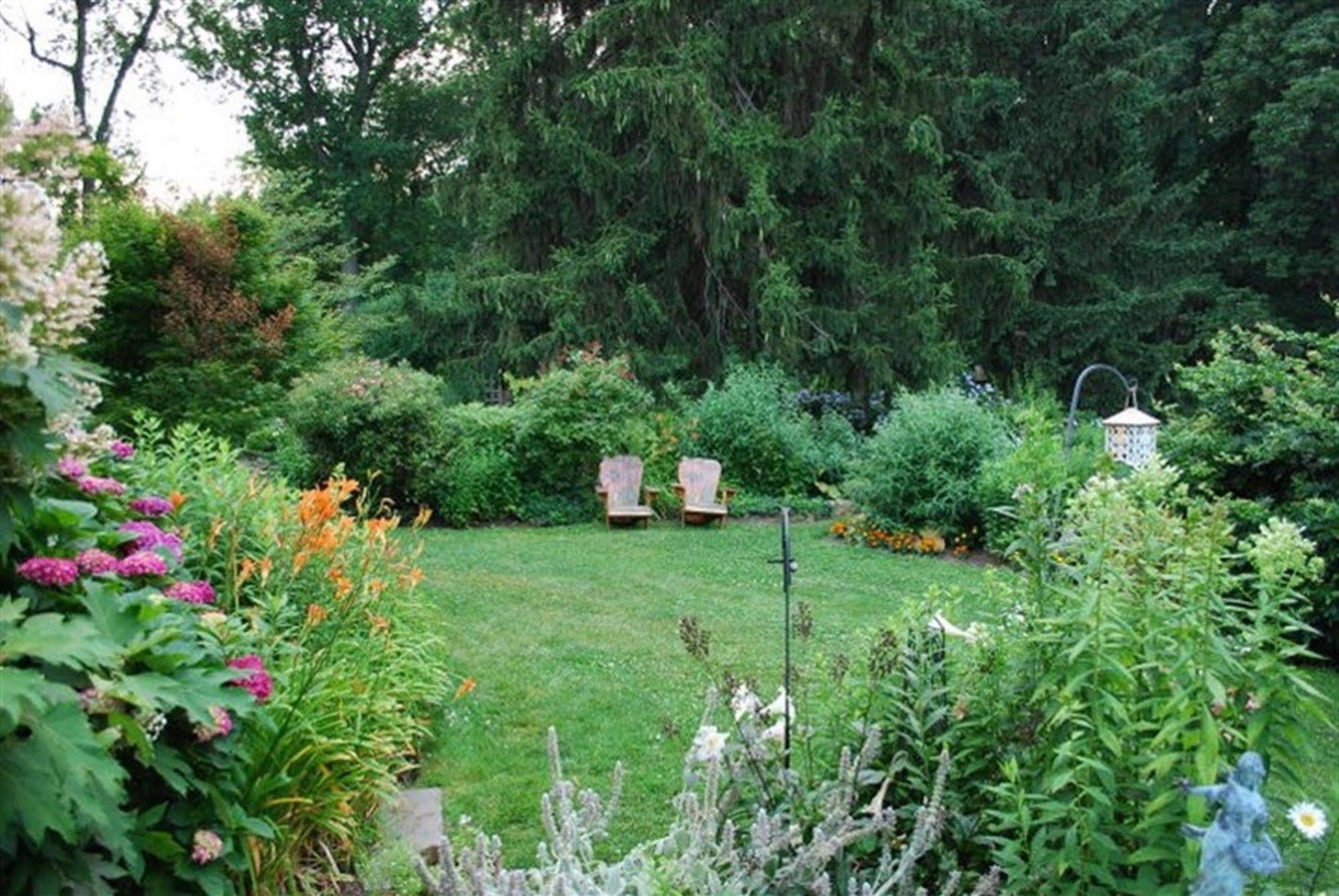 Bed and breakfast Wild Wisteria