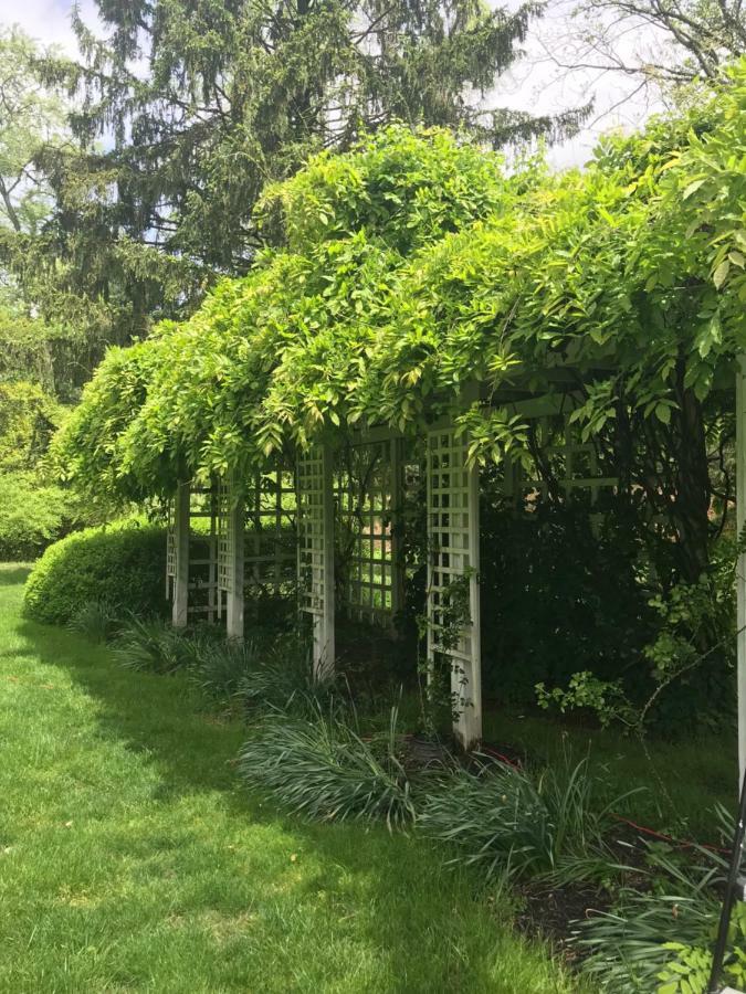 Wild Wisteria Bed and breakfast